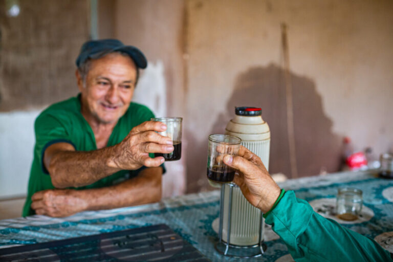 Café transforma vidas de produtores reassentados em Porto Velho