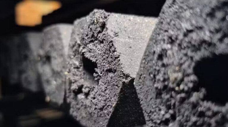 Produtor do Amapá transforma caroço de açaí em carvão