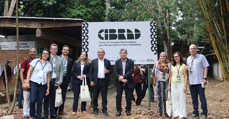 Inpa e Shell Brasil anunciam lançamento de centro para recuperar áreas degradadas na Amazônia