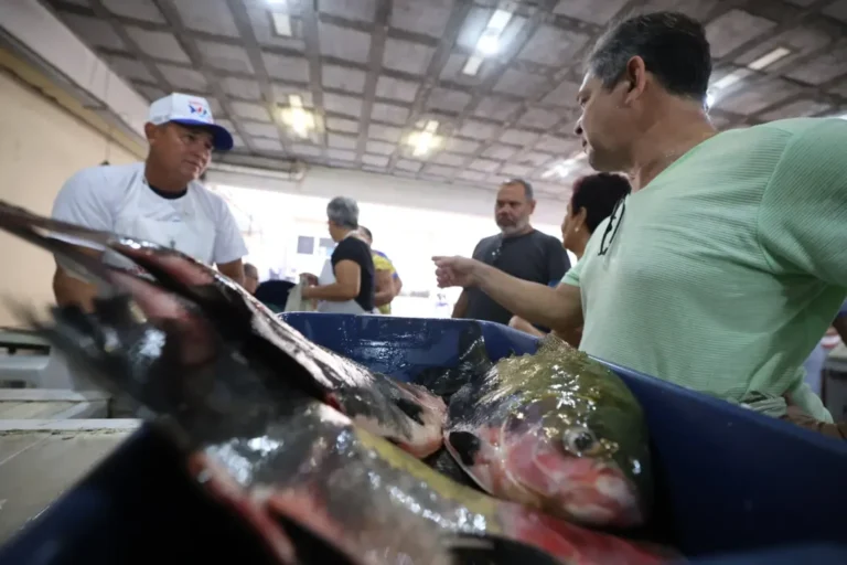 Consumo de peixe na Semana Santa reforça tradição e impulsiona cadeia produtiva no Pará
