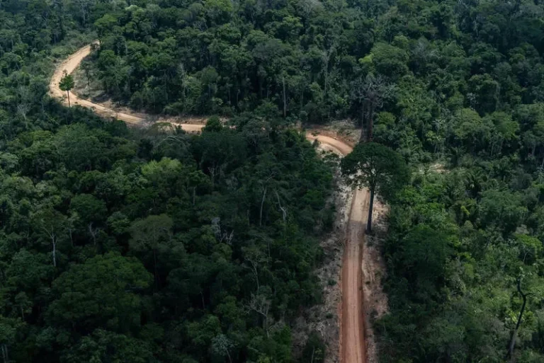 Observatório das Políticas de Governança de Terras integra dados fundiários do país