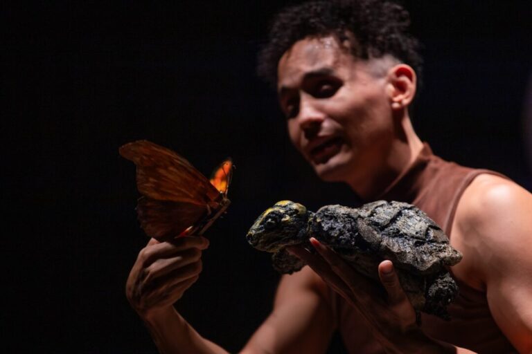 Espetáculo teatral é inspirado em pesquisa científica sobre colaboração inusitada de tartarugas e borboletas