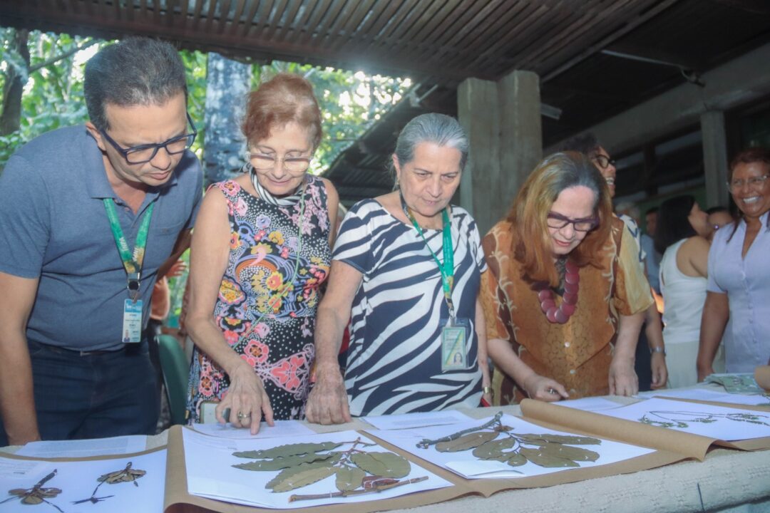Herbário do Instituto Nacional de Pesquisas da Amazônia (Inpa/MCTI)