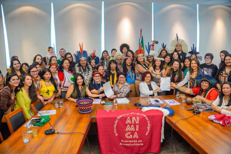 MPI e Ministério das Mulheres apresentam avanços na construção de política para mulheres e meninas indígenas