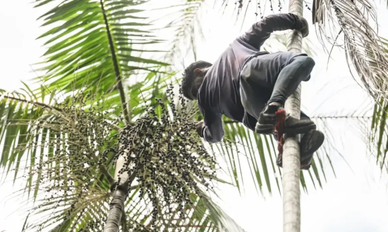 Governo Federal investe R$ 132 milhões em regularização fundiária na Amazônia