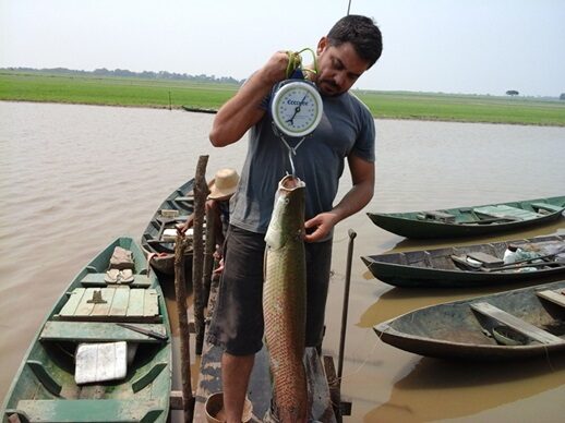 Pesquisa aponta presença de metais tóxicos em peixes de região do Pará