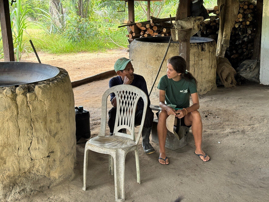 Projeto REFLORA inicia campanha de plantio 2026 na Amazônia unindo produção em viveiros comunitários e logística fluvial de mudas 