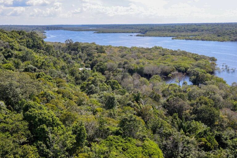 Aporte de R$ 350 milhões do Fundo Amazônia é direcionado para inovação na Amazônia Legal