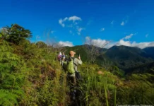 Imagem colorida mostra turismo em trilhas na Amazônia Peruana