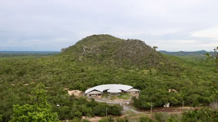 Ideflor-Bio destaca protagonismo comunitário e preservação no Parque de Monte Alegre