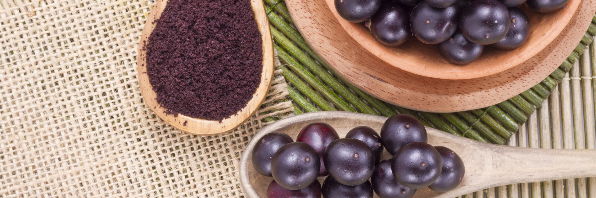 Estudo comprova efeito neuroprotetor do açaí em cérebros adolescentes