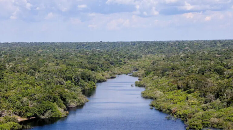 Amazônia Innovation Summit integra inovação, indústria e sustentabilidade