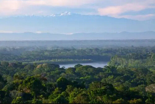 Andes peruanos abrigarão espécies migratórias da Amazônia devido às mudanças climáticas
