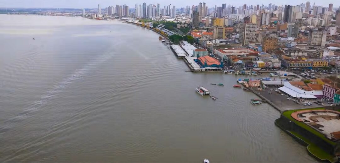 Educação ambiental: projeto de divulgação científica conecta Amazônia e Mata Atlântica