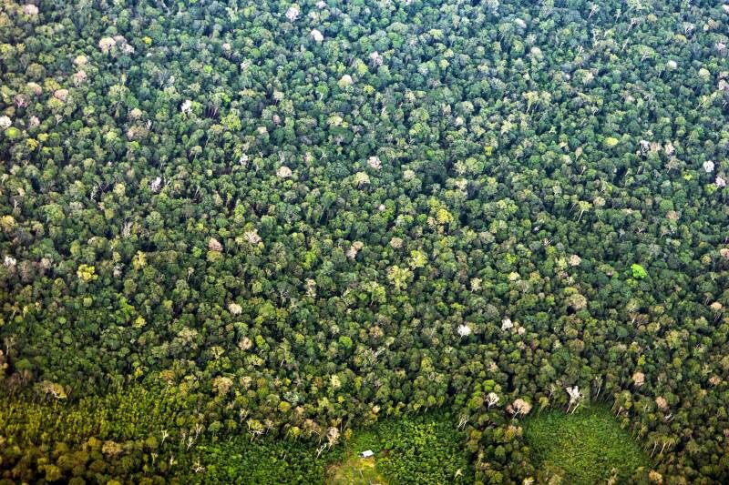 apa triunfo do xingu foto bruno cecim agencia para