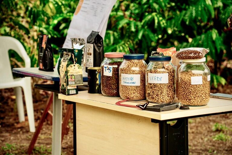Em Rondônia, Funai apoia ação de fortalecimento da produção de café do povo Paiter Suruí
