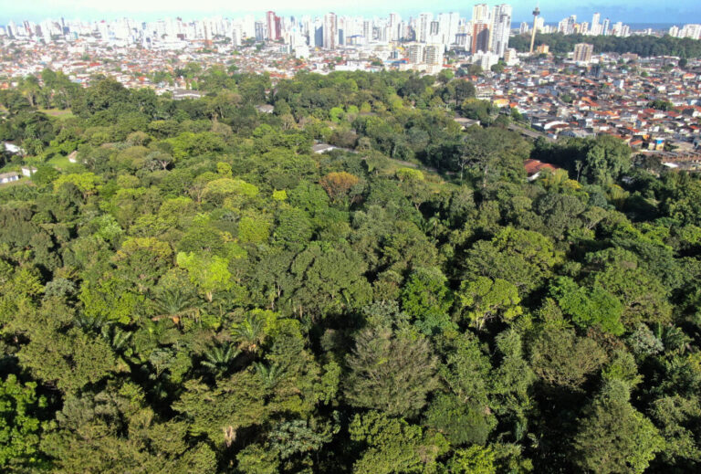 Embrapa abre floresta urbana em Belém para observação científica da biodiversidade