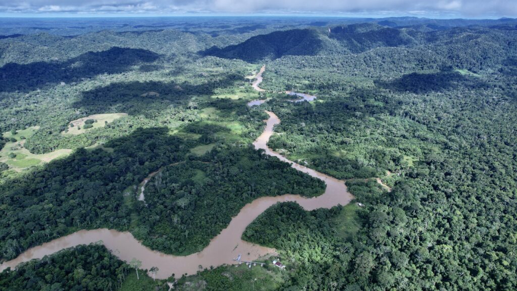 A nova espécie foi encontrada durante expedição no Parque Nacional da Serra do Divisor, no Acre