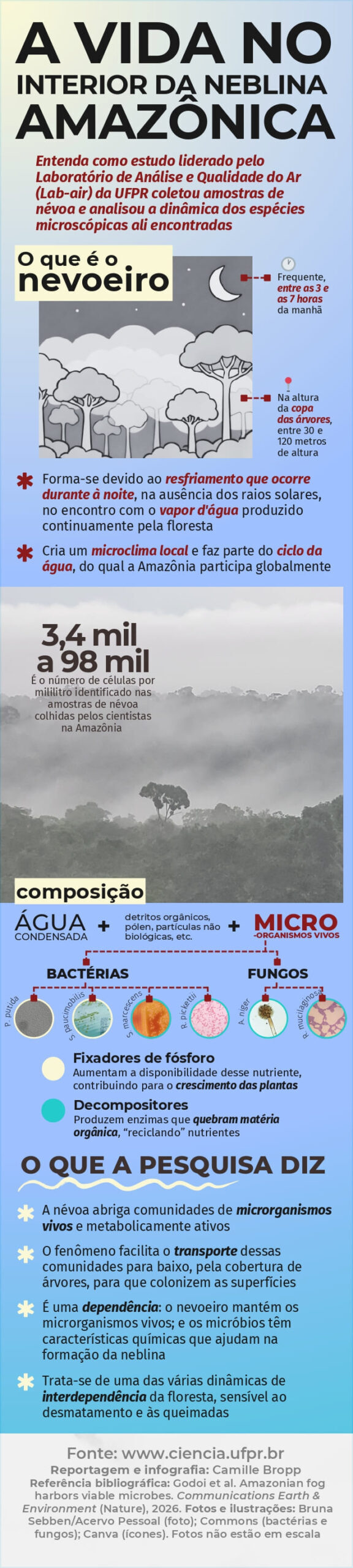 Névoa da Amazônia revela papel ambiental pouco estudado, indica pesquisa