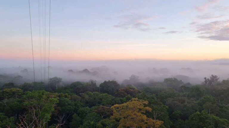 Névoa da Amazônia revela papel ambiental pouco estudado, indica pesquisa