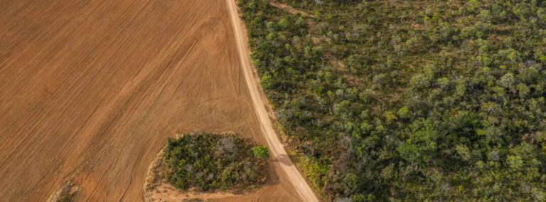 Análise revela extensão do desmatamento não autorizado no Brasil