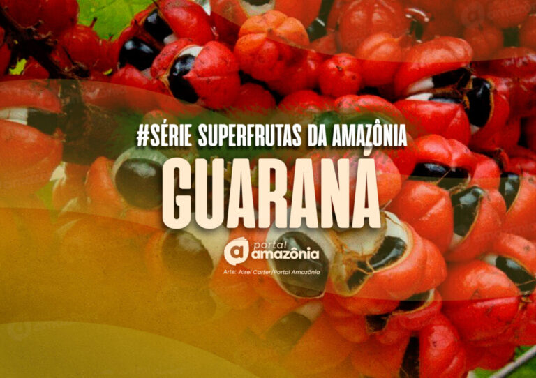 #Série l Superfrutas da Amazônia: guaraná, fonte natural de cafeína