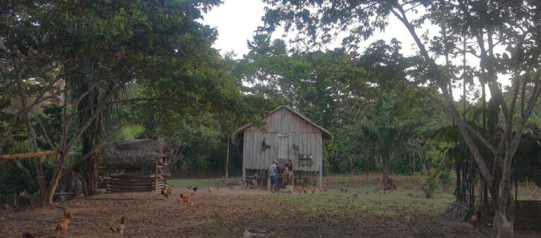 Zoonoses no Brasil se concentram em áreas vulneráveis e atingem mais indígenas, negros e pardos, aponta estudo