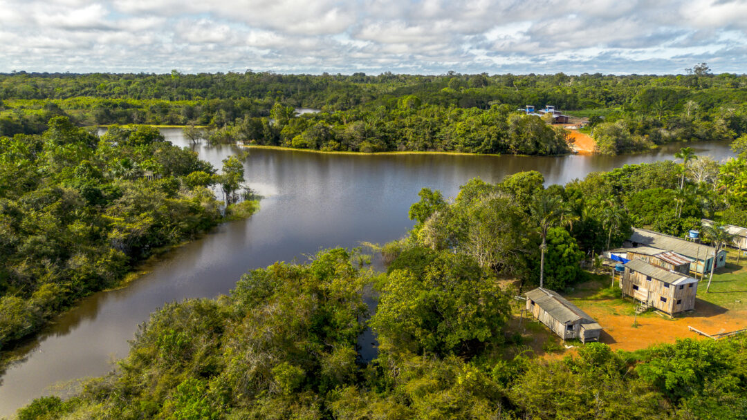 reserva de desenvolvimento sustentável RDS UATUMÃ 
