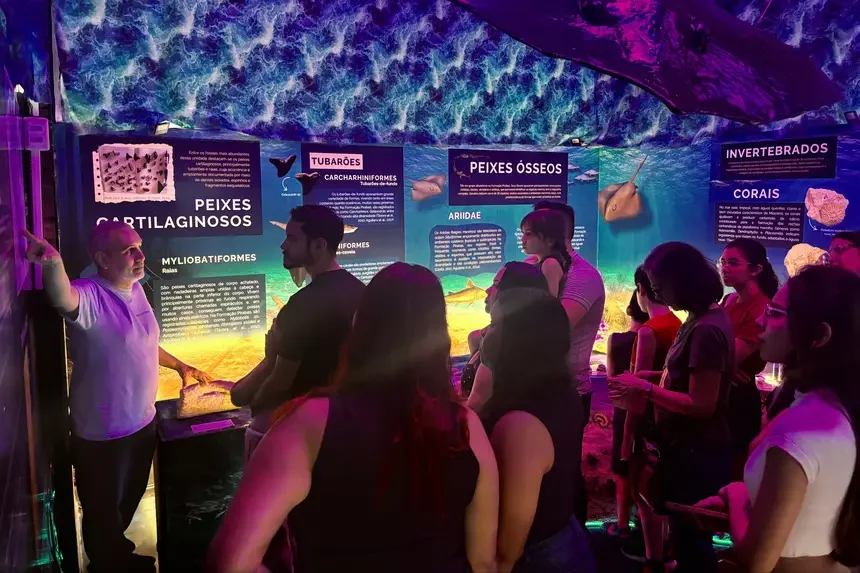 Exposição 'O Mar Perdido de Pirabas'