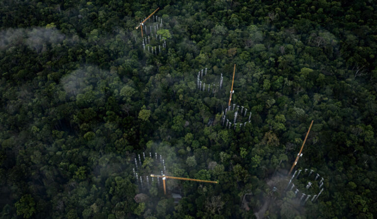 AmazonFace vai estudar como a Amazônia reage a ambiente rico em dióxido de carbono
