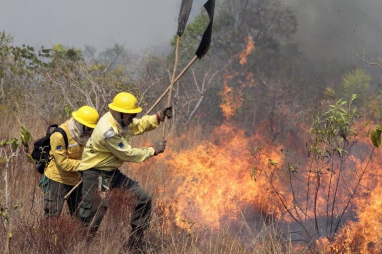 Conhecimento indígena orienta ações de combate a incêndios em TI do Xingu, no Mato Grosso