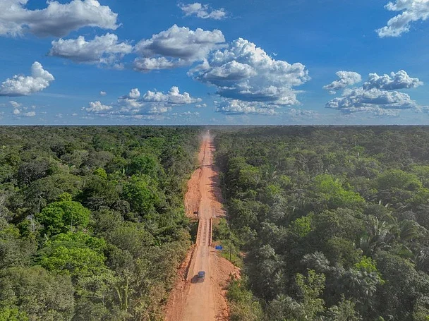WWF-Brasil defende governança e rigor socioambiental na BR-319