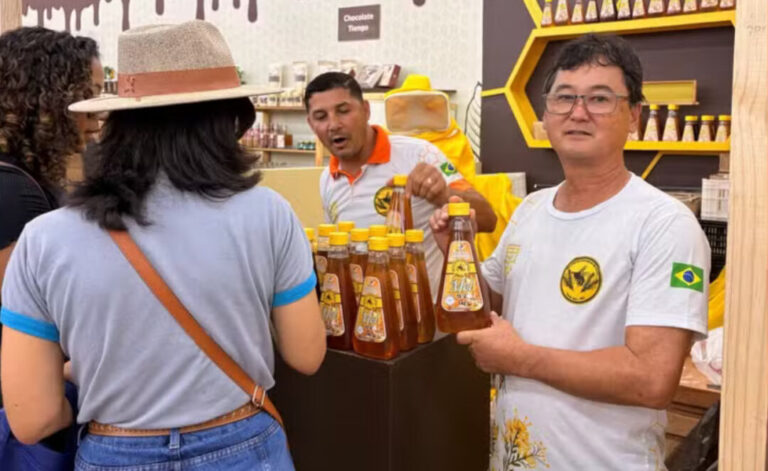 Hidromel, bebida milenar dos vikings, ganha versão produzida em Rondônia