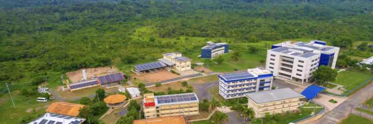 Para proteger a Amazônia, Brasil precisa fortalecer suas universidades na Região Norte, defendem pesquisadores
