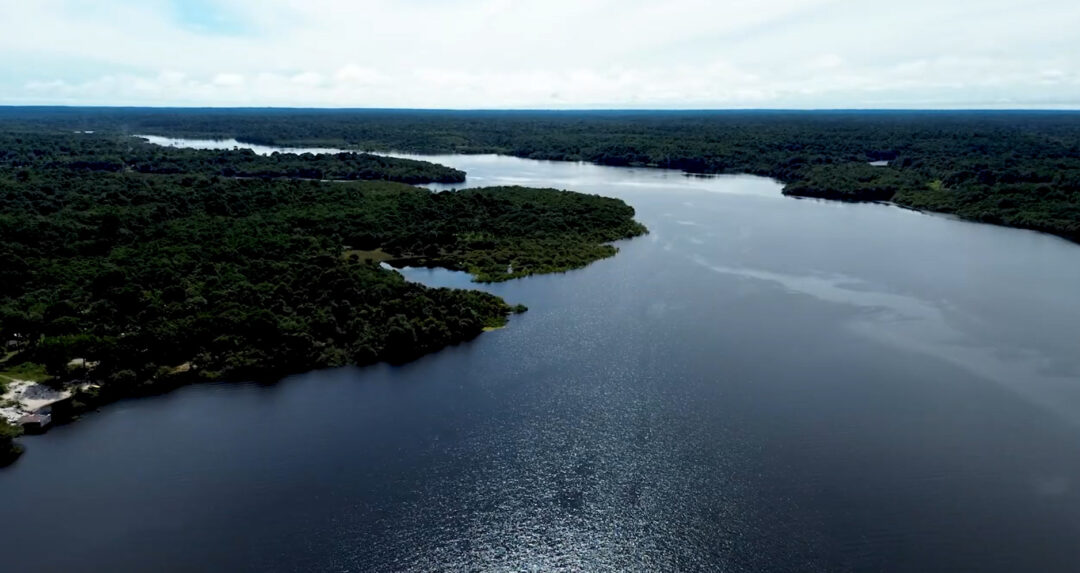 Rios da Amazônia ainda concentram boa parte de água doce do planeta