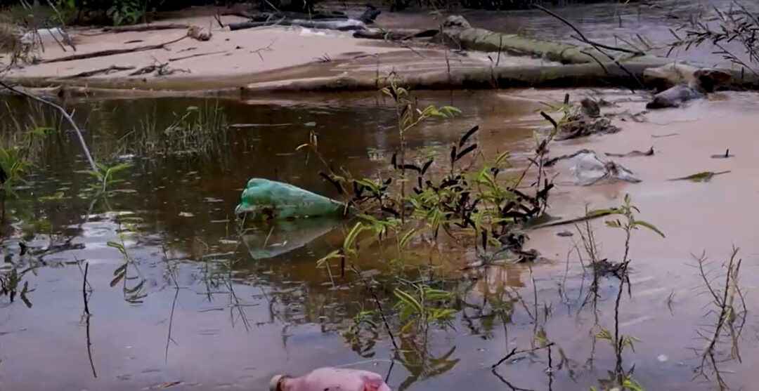 Documentário mostra o impacto do plástico e do microplástico na avifauna de rios no Amazonas 
