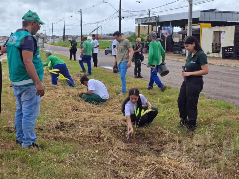 Mais de 100 mudas de açaí são plantadas em Rio Branco em ação de recuperação ambiental do Consciência Limpa