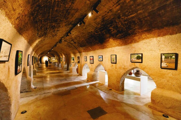 Museu de Cuiabá recebe imersão cultural com obras que retratam a poesia visual contemporânea