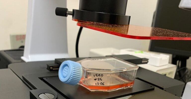 Pesquisa do Inpa com nanotecnologia biodegradável aponta compostos da Amazônia com potencial contra Zika