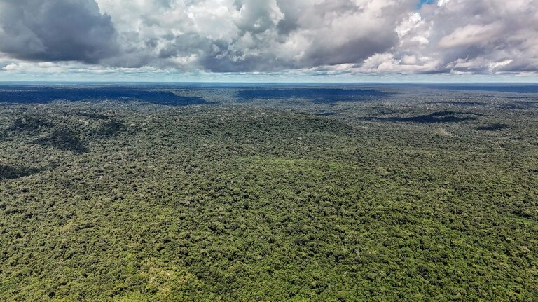 amazônia
