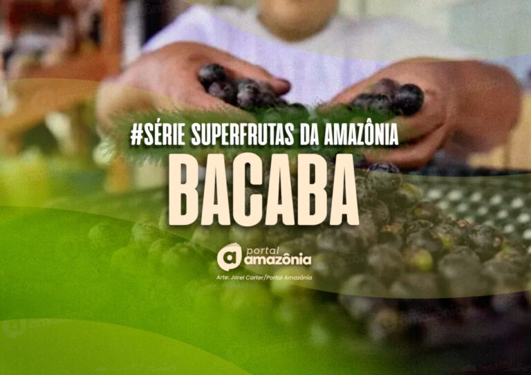 #Série l Superfrutas da Amazônia: bacaba, o ‘vinho da Amazônia’ 