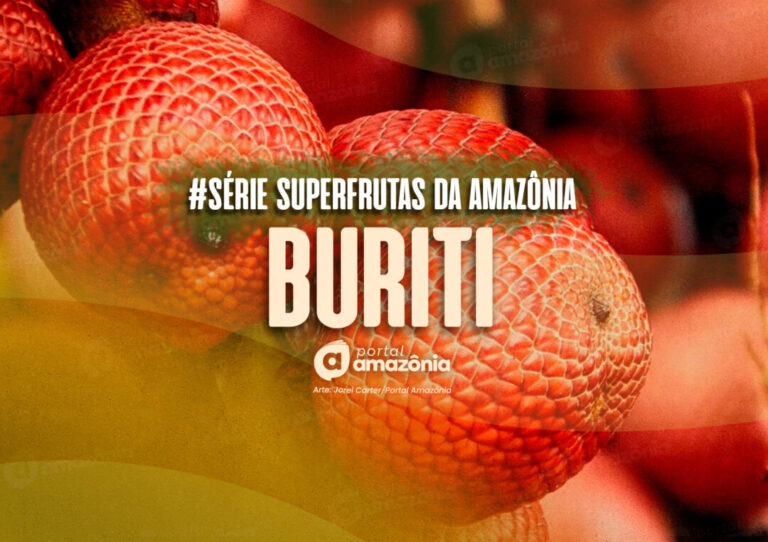 #Série l Superfrutas da Amazônia: buriti, o fruto da “árvore da vida”
