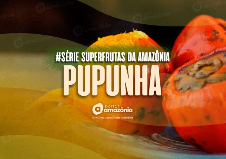 #Série l Superfrutas da Amazônia: pupunha, o fruto tradicional da Amazônia