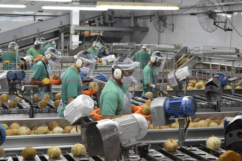 Setor industrial do Pará registra crescimento acumulado de 65,8% entre 2018 e 2025