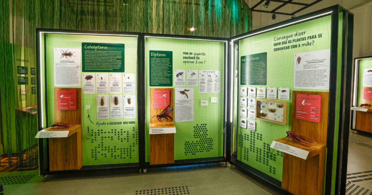 Exposição no Museu de Zoologia explora grandiosidade da Amazônia a partir das pequenas espécies
