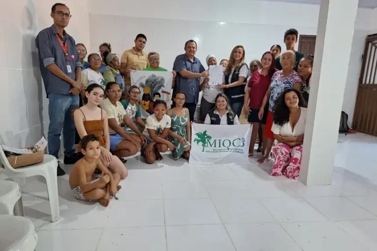 Estufas incentivam aproveitamento do coco babaçu em São Domingos do Araguaia, no Pará
