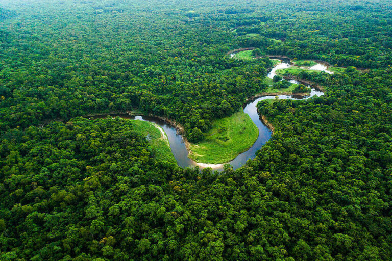 Amazônia na Netflix: conheça destinos da região que ganharam destaque em produções do streaming