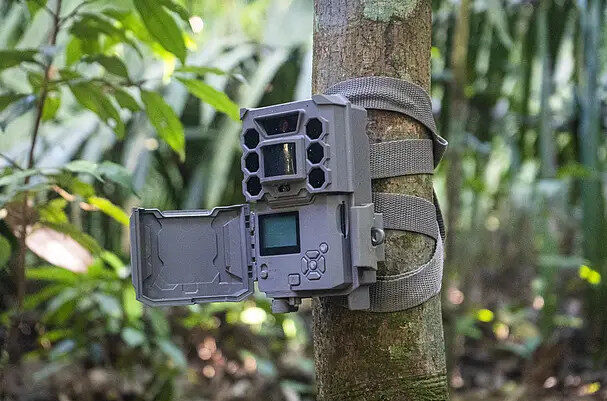 povos originários de Rondônia fortalecem o monitoramento da biodiversidade