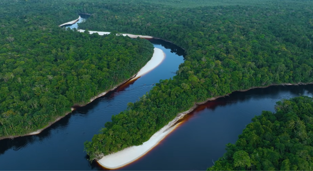 Documentário registra manejo da fauna pelo povo Baniwa no Amazonas