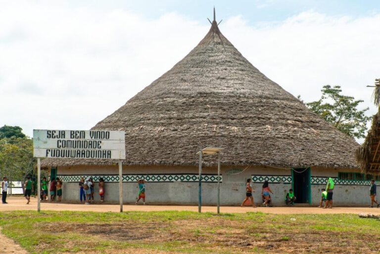 Lideranças indígenas Yanomami e Ye’kwana pedem ao governo brasileiro estratégia binacional contra garimpo e malária